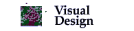 Visual Design